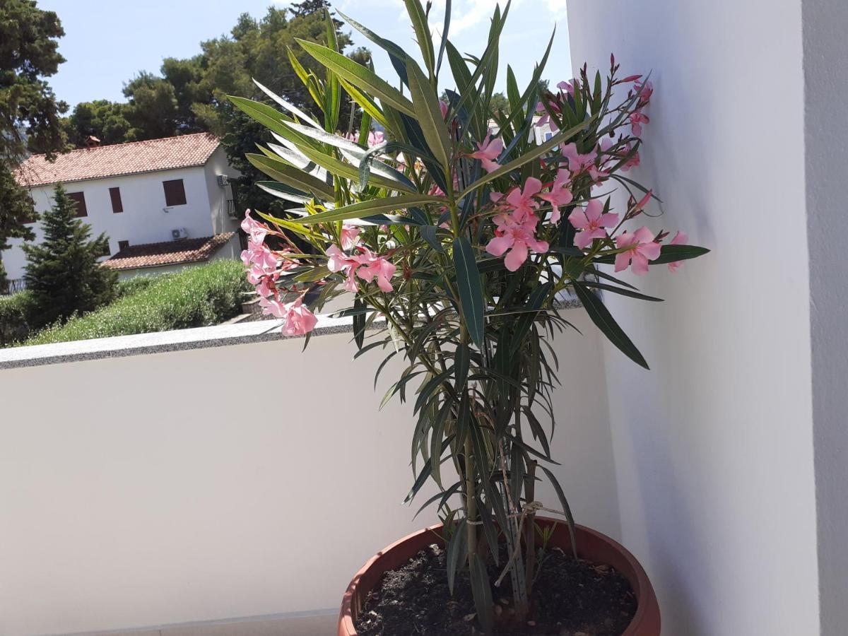 Apartmani Miletic Jelsa  Exterior photo